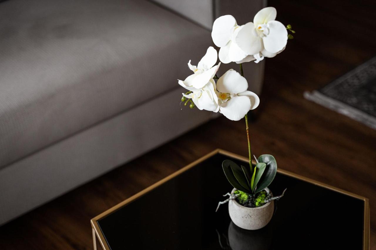 Glyfada Premium Residence Αθήνα Εξωτερικό φωτογραφία